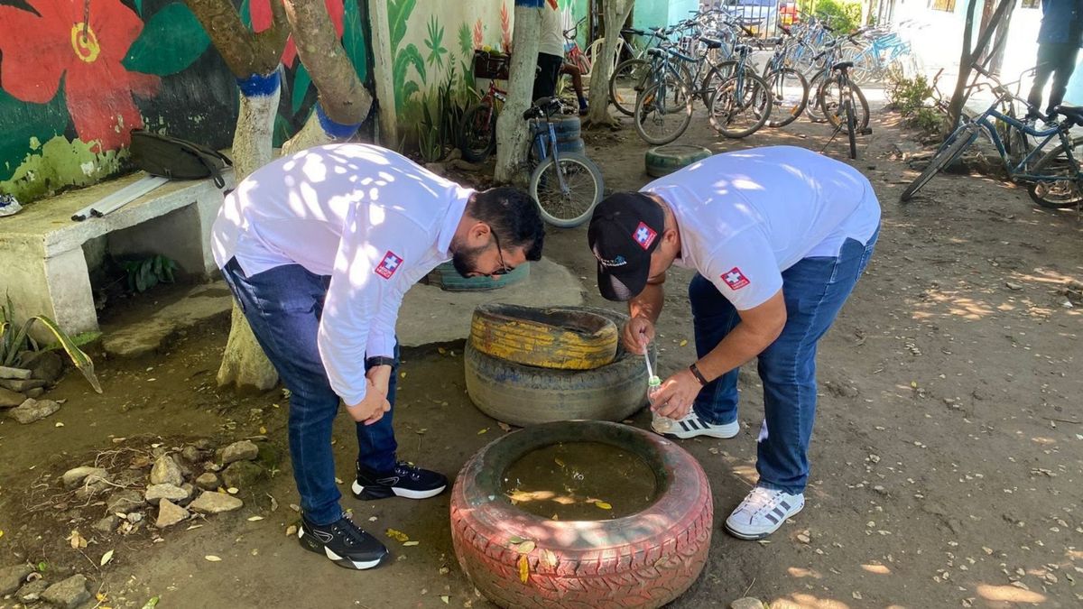 Bajan casos de dengue en Córdoba