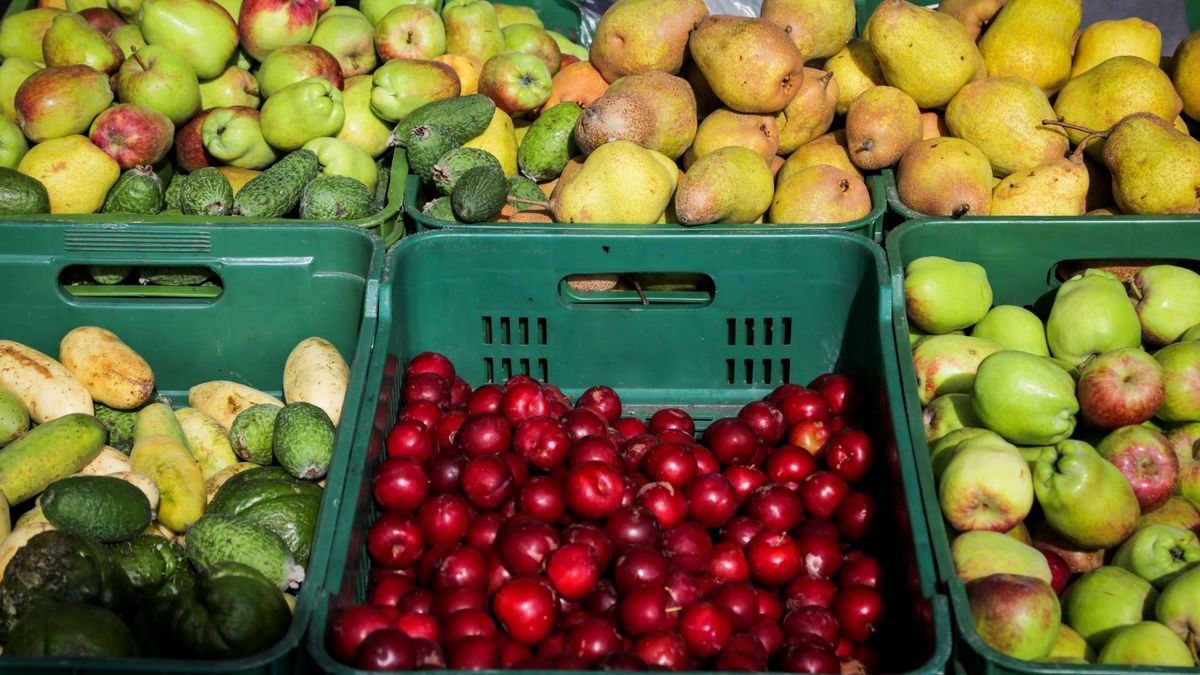 Frutas exhibidas en Corabastos para la venta
