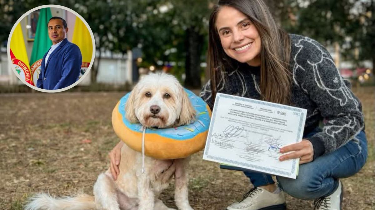 Jornada por animales callejeros desata pulso con alcalde