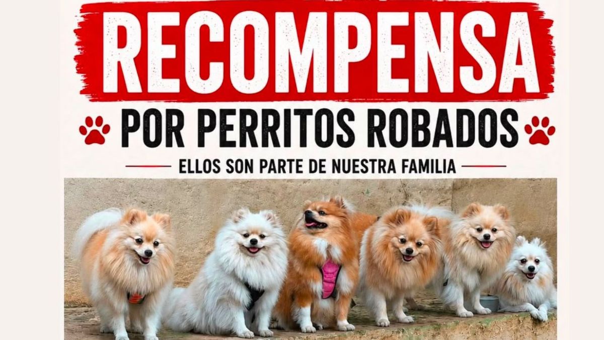 Los cinco perros están esterilizados