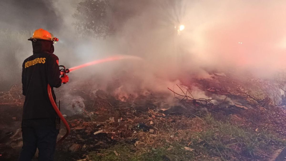 Incendios forestales en Ibagué | Incendio vegetal Ibagué | Emergencias Ibagué