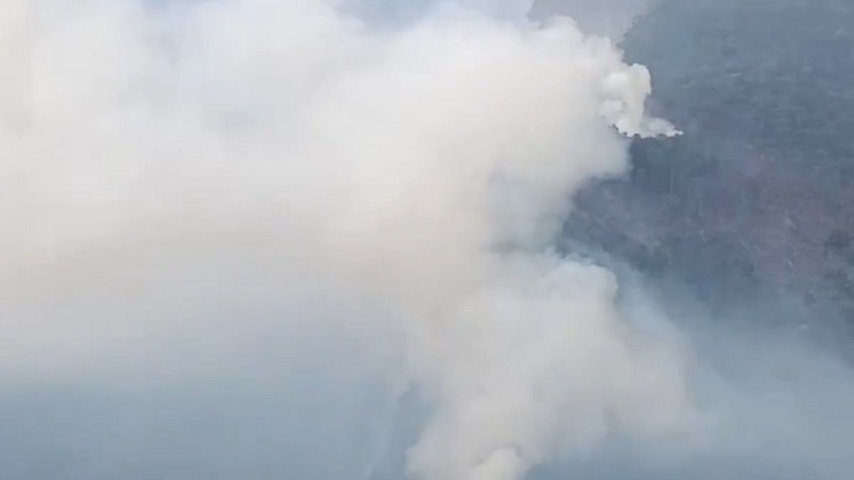 Bomberos y organismos de socorro combaten incendio forestal que amenaza el Cerro de Barco