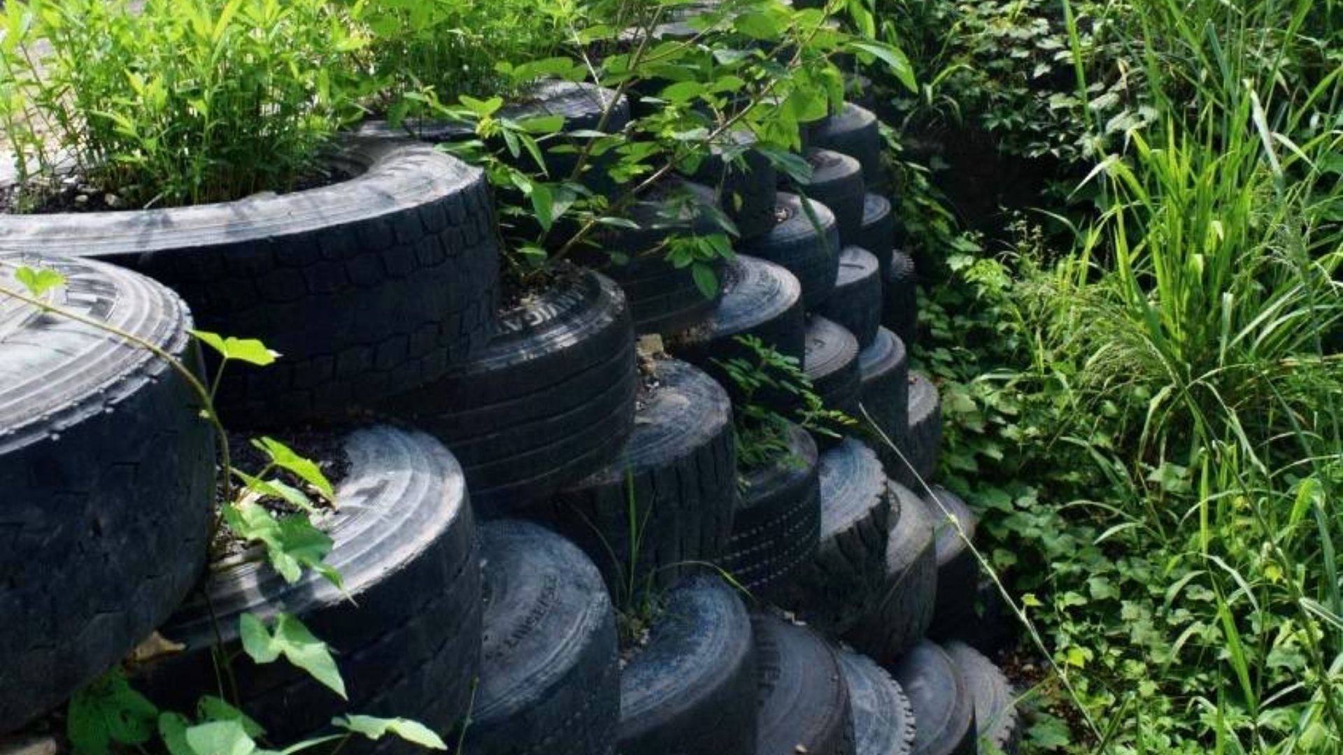 ¿Por qué las llantas usadas representan un riesgo para la salud y el medio ambiente?
