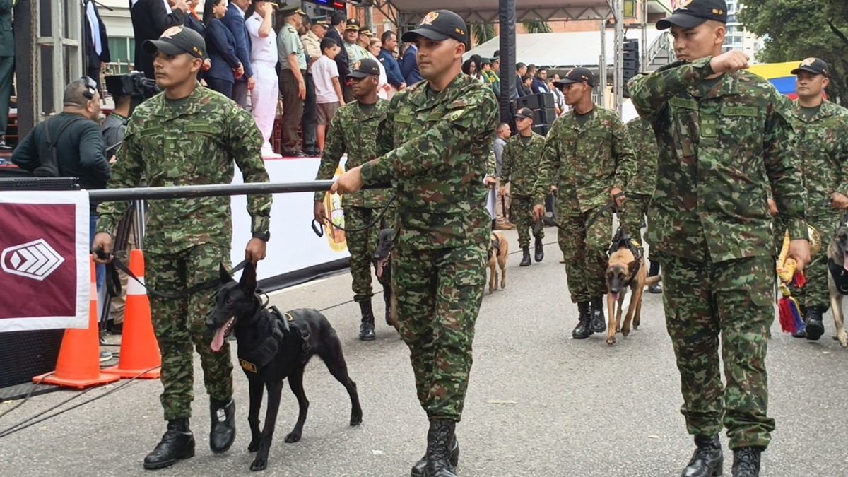 Familias llenaron las calles de Bucaramanga para celebrar el Día de la Independencia