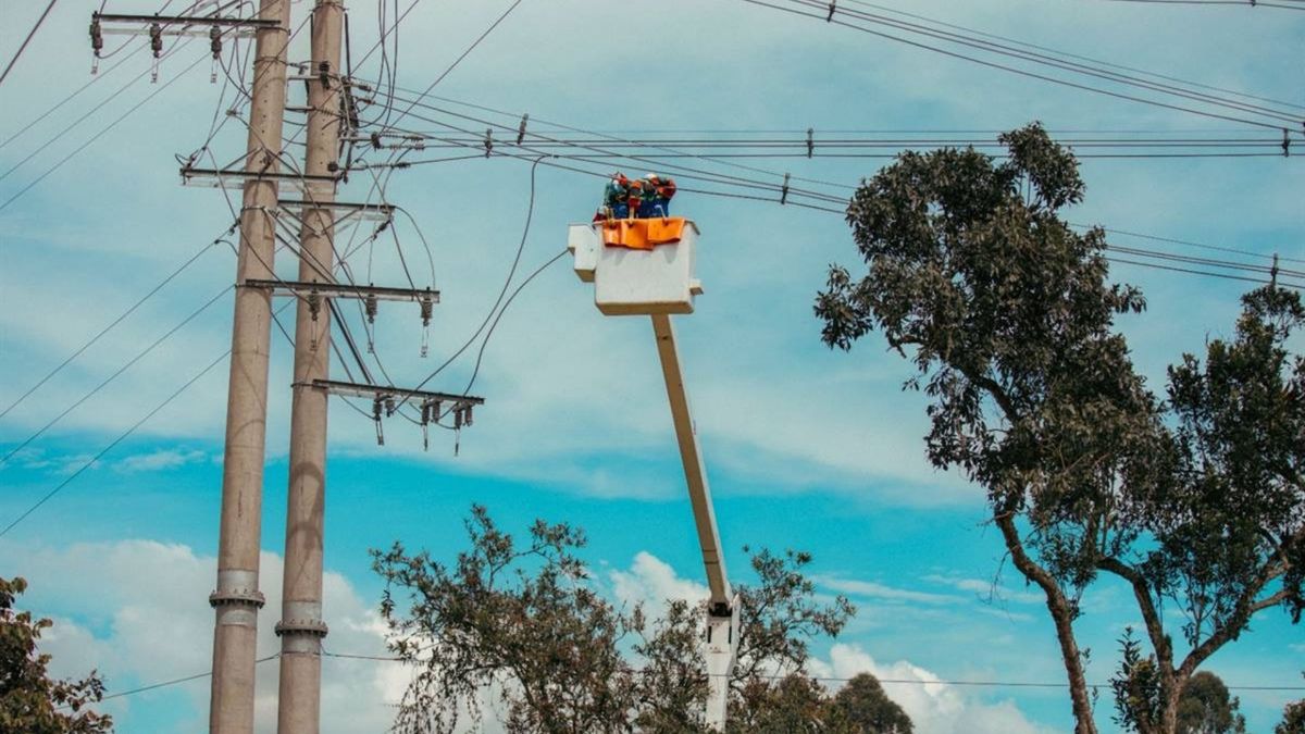 Mantenimiento de redes eléctricas en Santander