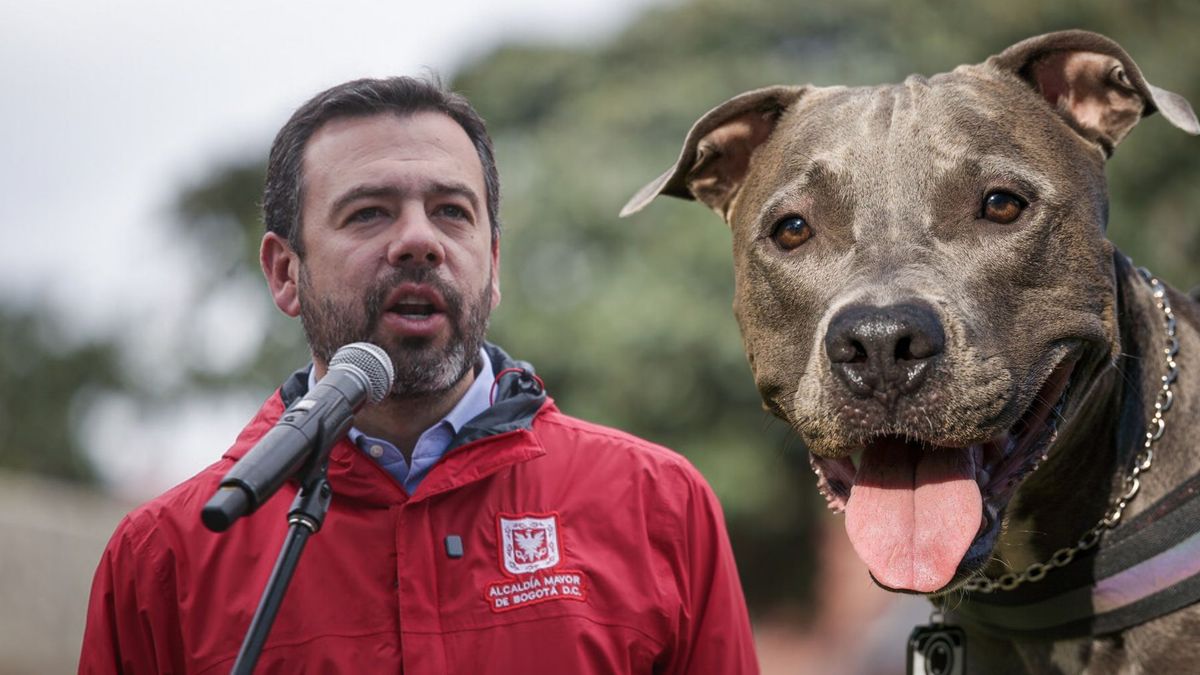 Registro obligatorio para perros de manejo especial en Bogotá