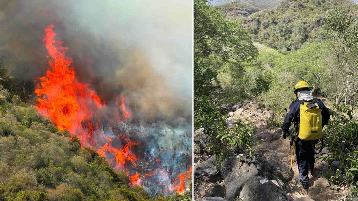 Incendio Alto de Gualanday | Incendio forestal | Emergencia por incendios