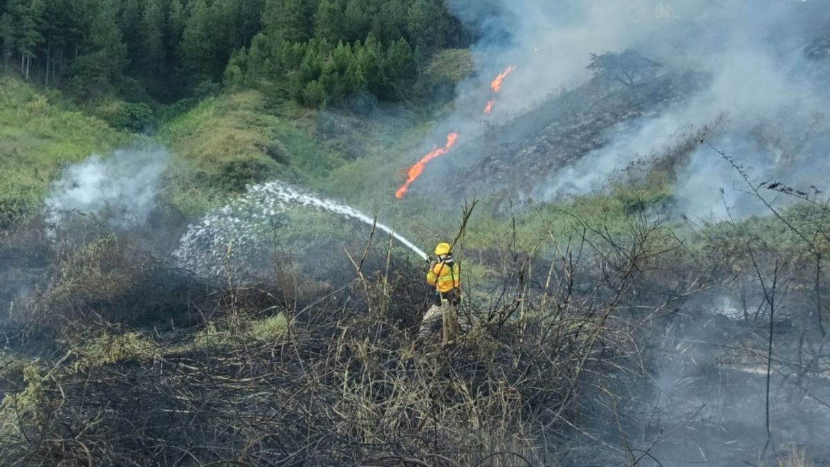 Incendio forestal Bello.