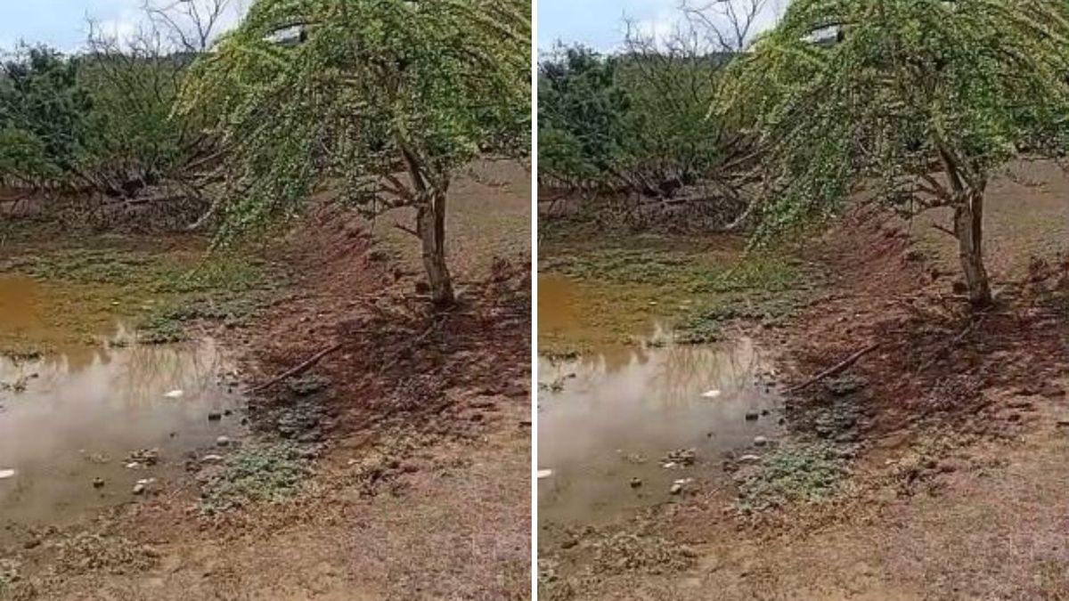 Sequía en el departamento del Atlántico