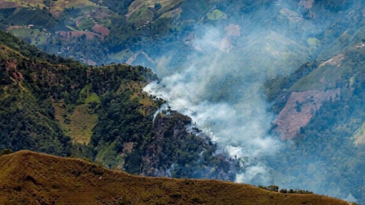 Incendio forestal en el Alto de Gualanday | Incendios forestales Ibagué | Incendio Ibagué