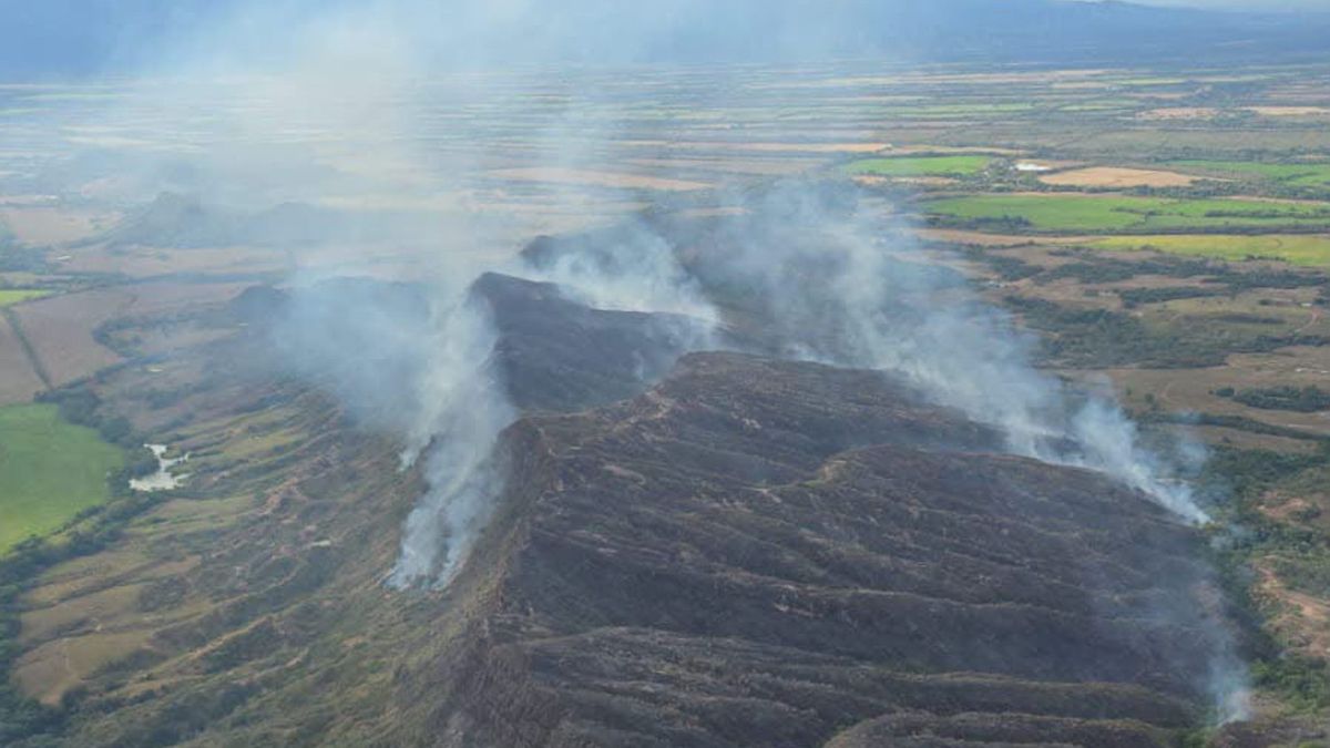 Incendios forestales en Tolima | Incendios Tolima | Conflagración Tolima