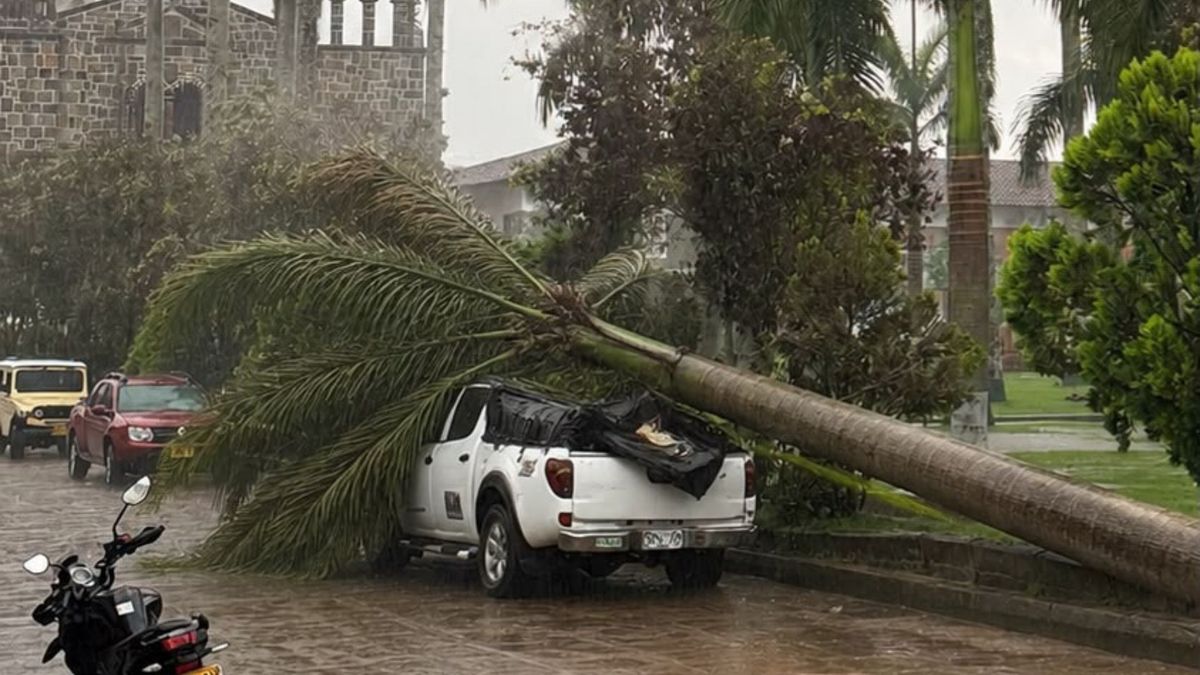 Alcaldía de Guadalupe declara calamidad pública tras el fuerte vendaval que causó daños en viviendas e infraestructura.