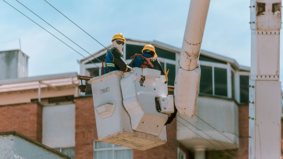 Labores de mantenimiento Essa