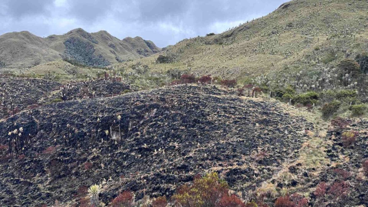 Incendios forestales en Tolima | Incendios vegetales | Altas temperaturas Tolima