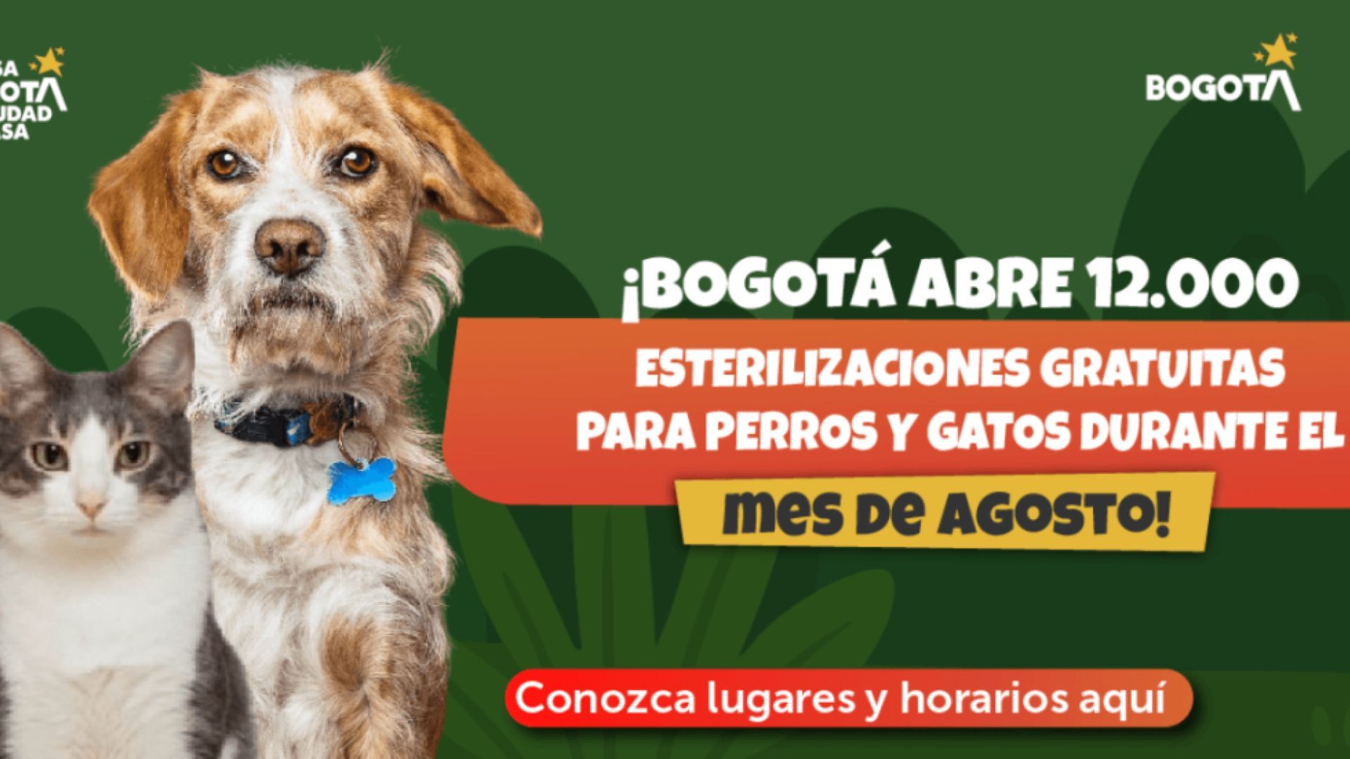 Requisitos para solicitar la esterilización gratuita en Bogotá