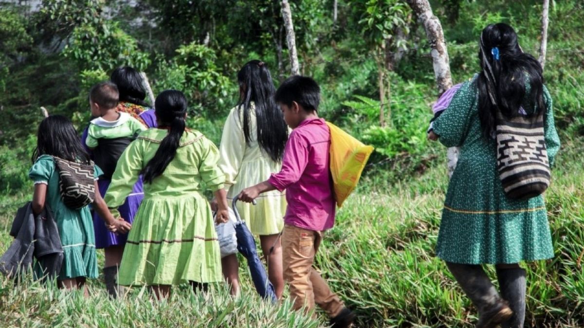 Autoridades alertan por posible reclutamiento de niños indígenas por parte del ELN en Risaralda