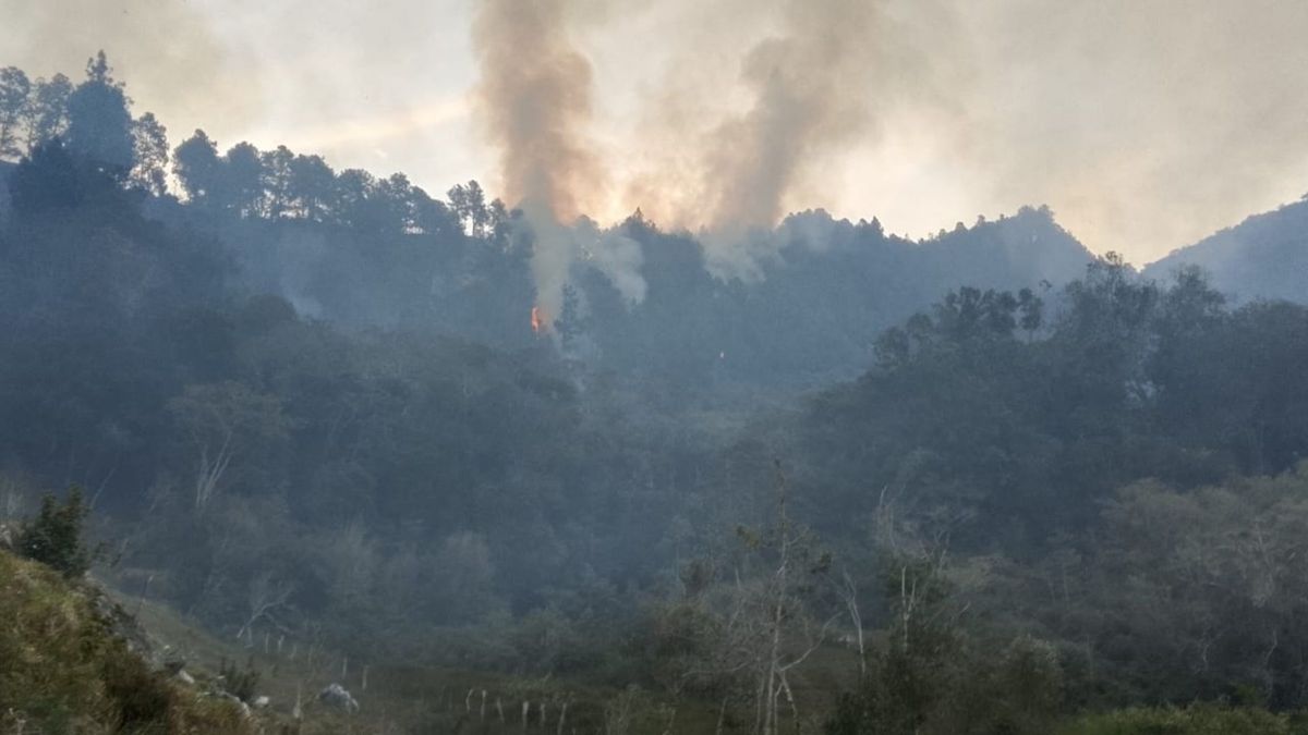 Incendio forestal en Charta