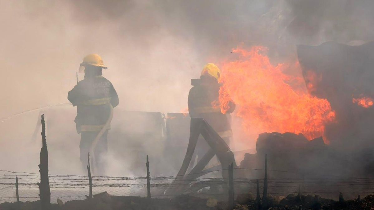 Incendios forestales | Incendios Ibagué | Incendios vegetales
