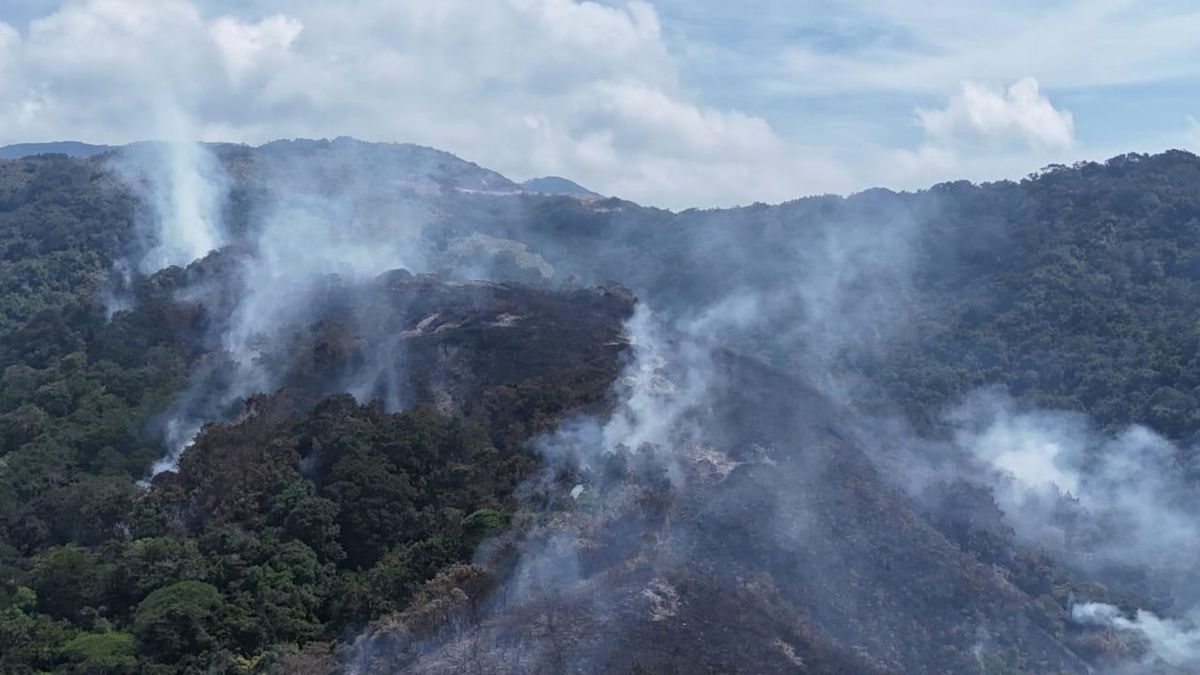 incendio forestal en Ocaña.