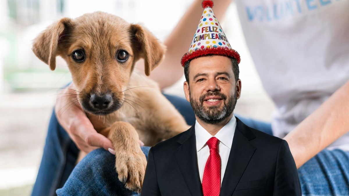 ¿Dónde serán las jornadas de adopción de perros y gatos en Bogotá?