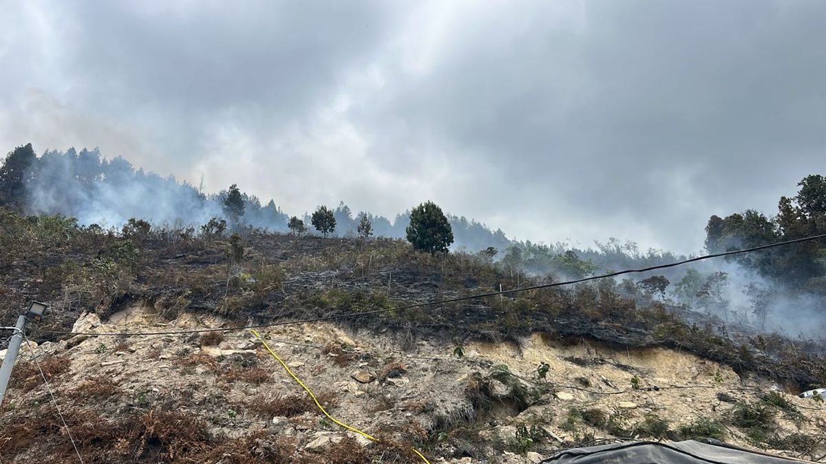 Incendio forestal en Charta no da tregua: tres días de emergencia y casi 100 hectáreas afectadas