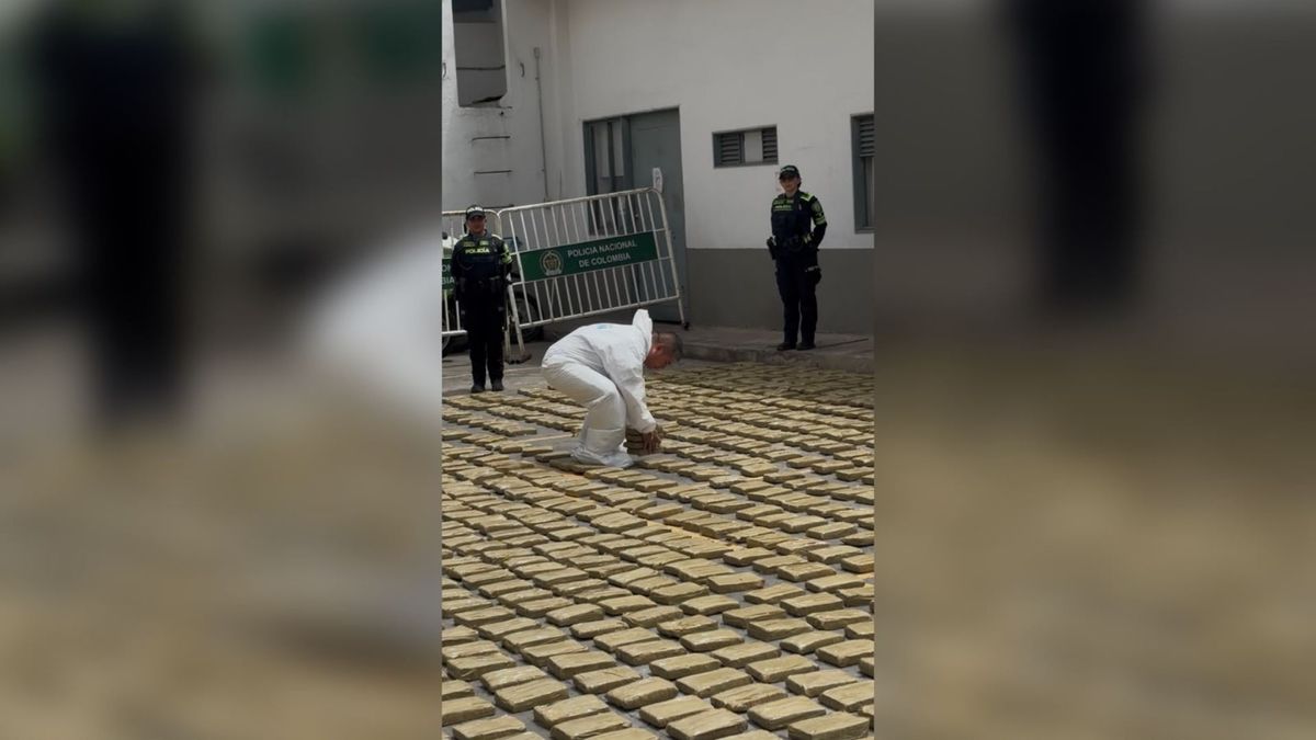 Incautación millonaria de marihuana en Boyacá