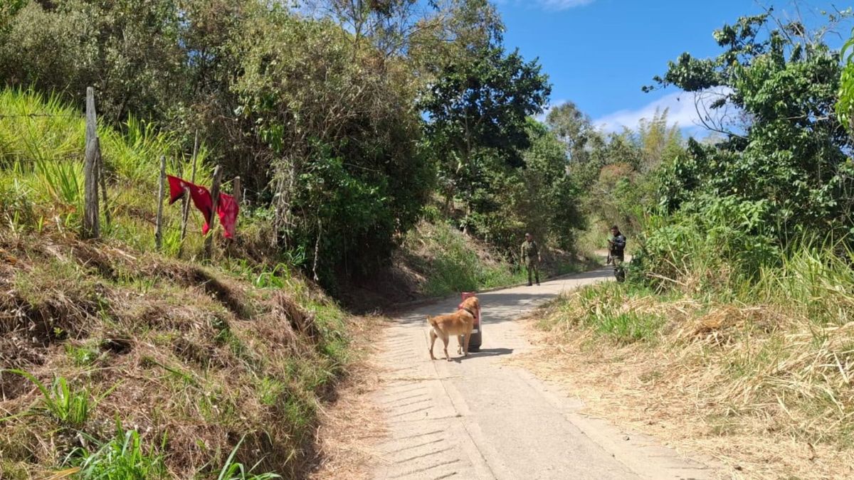 Descartan explosivos en Cundinamarca.