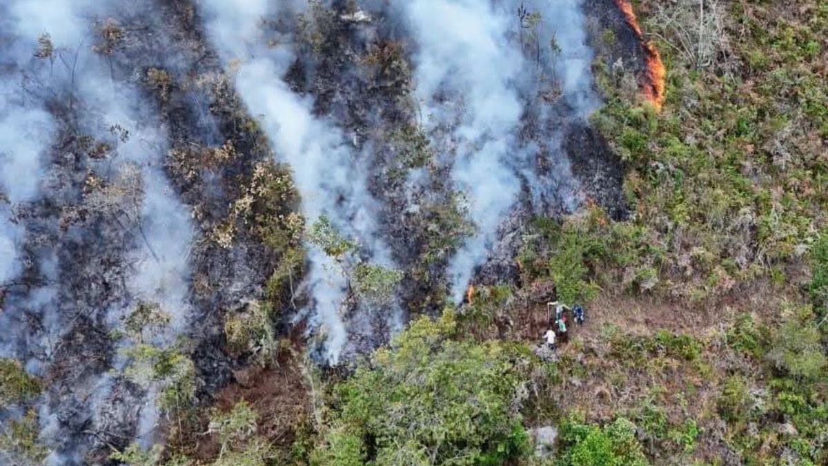 Incendio forestal de Charta ha consumido más de 120 hectáreas.