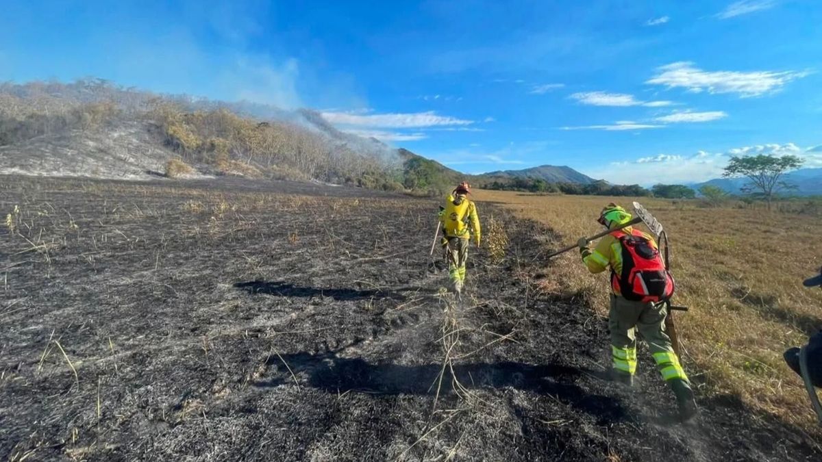 Alerta naranja en Ibagué por el Fenómeno del Niño | Emergencias por Altas Temperaturas | Incendios Forestales | Agosto 2026