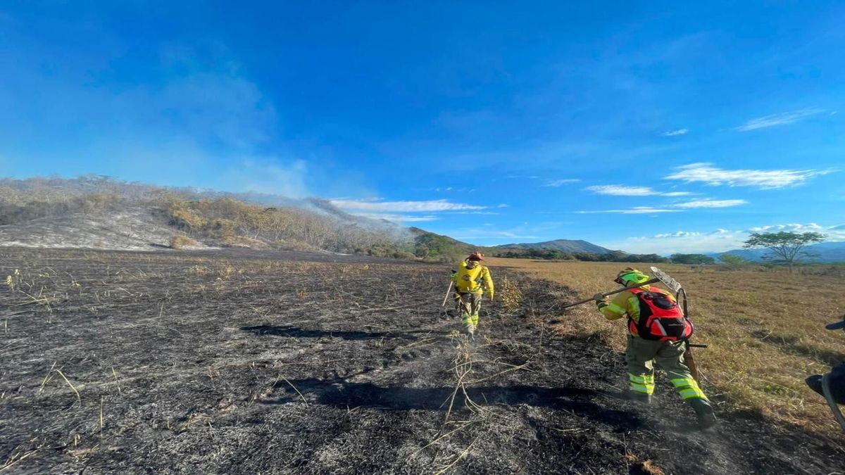 Alerta naranja en Ibagué por el Fenómeno del Niño | Emergencias por Altas Temperaturas | Incendios Forestales | Agosto 2026