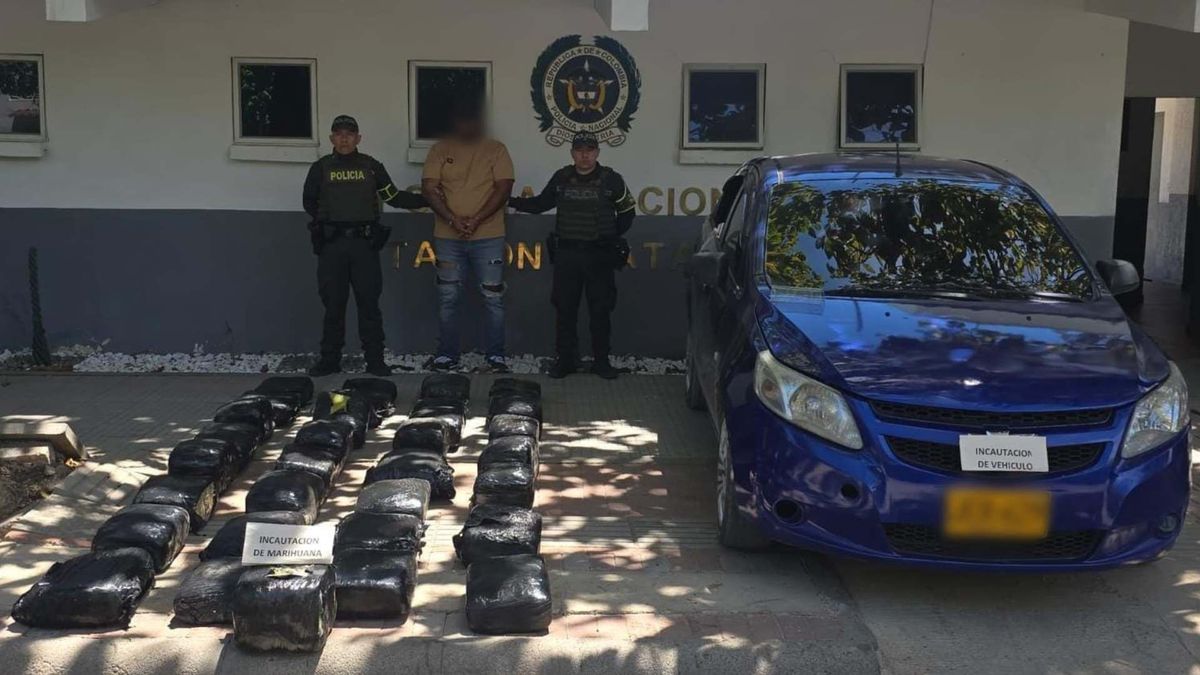 Incautación marihuana Tolima | Cargamento marihuana | Natagaima