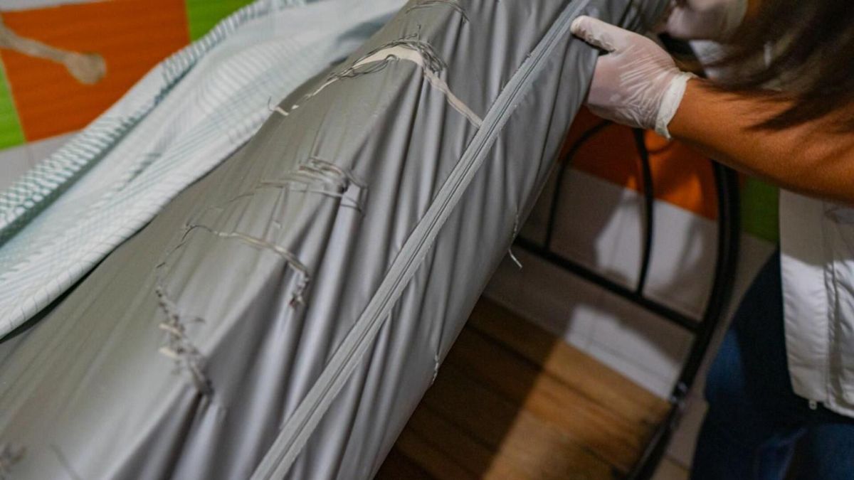 Inspección en hoteles de Ibagué | Autoridades Sanitarias | Hostales y Hoteles | Agosto 2026