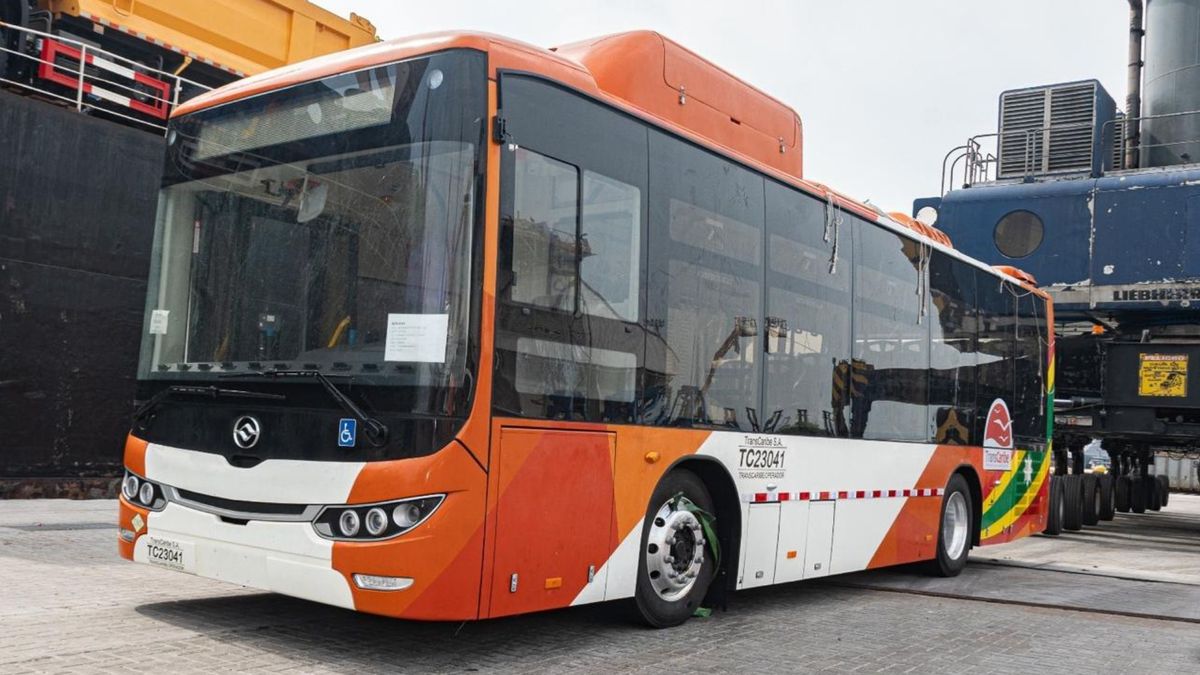 Nueva flota de TransCaribe