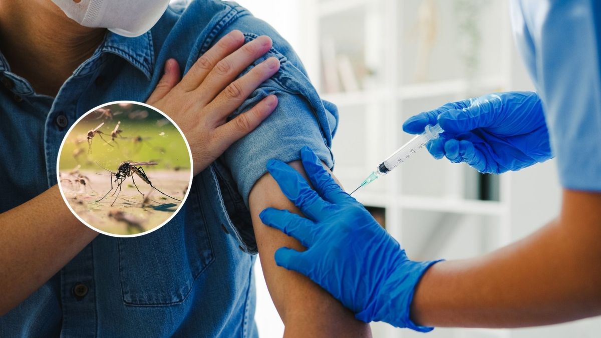 ¿Quiénes podrán acceder a la vacuna contra el dengue en Colombia?