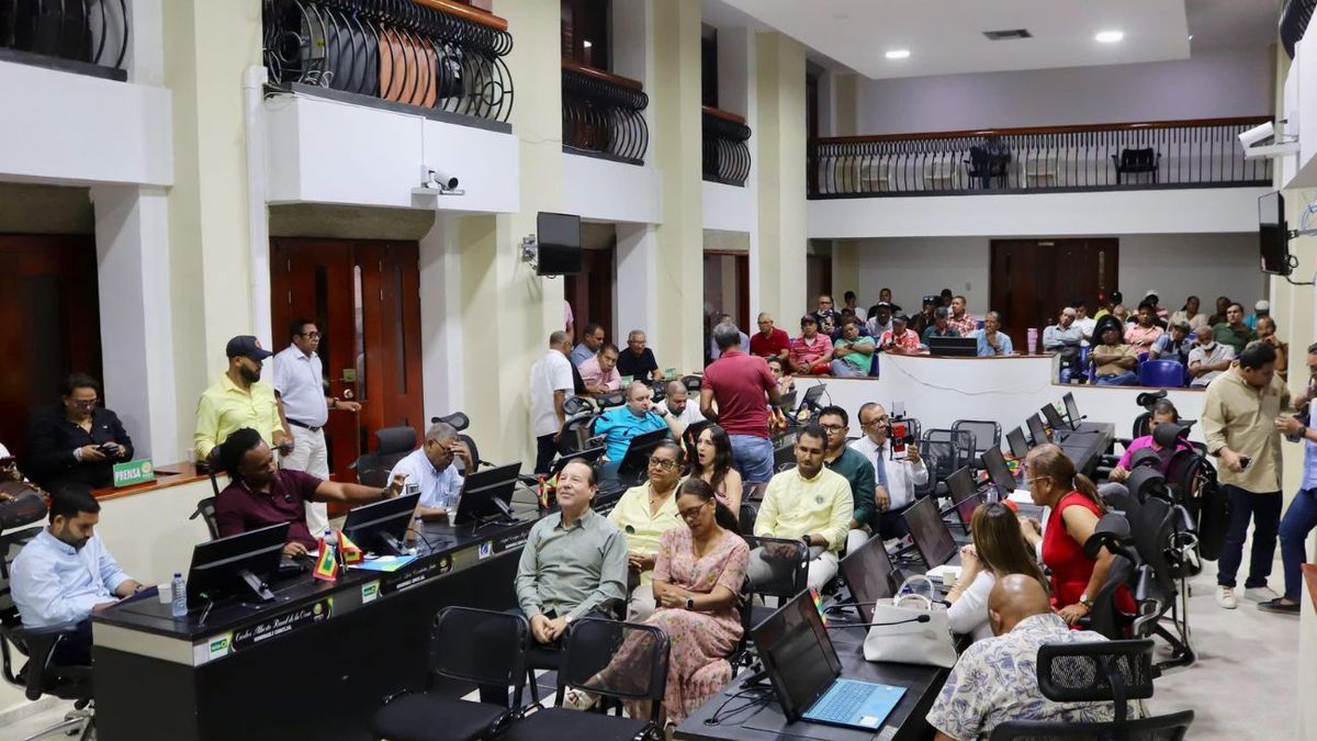Audiencia Pública del Concejo Distrital 4 de Agosto