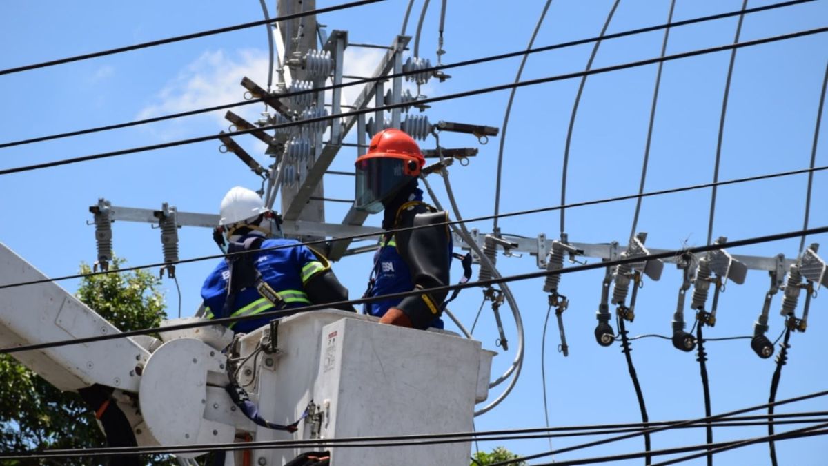 Mantenimiento redes de energía