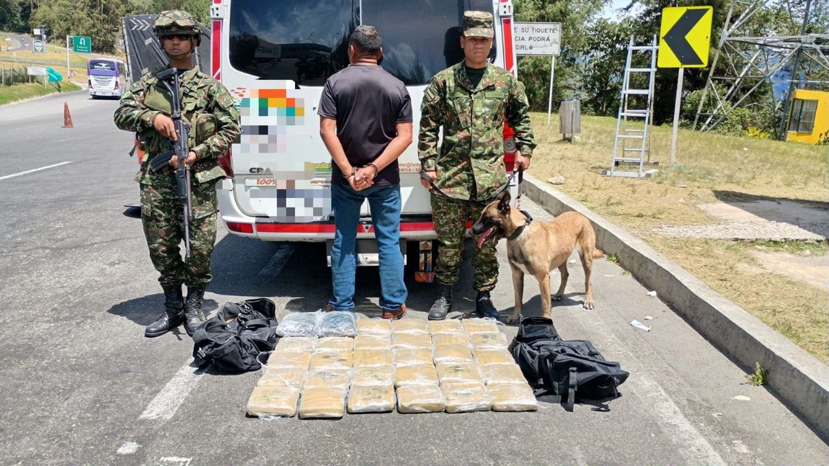 En cajas transportaba marihuana cuando se movilizaba por la vía a La Línea