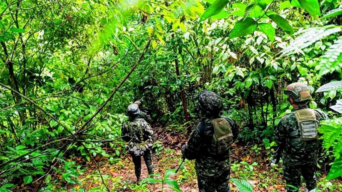 Clan del Golfo podría replegarse de Risaralda hacia Antioquia