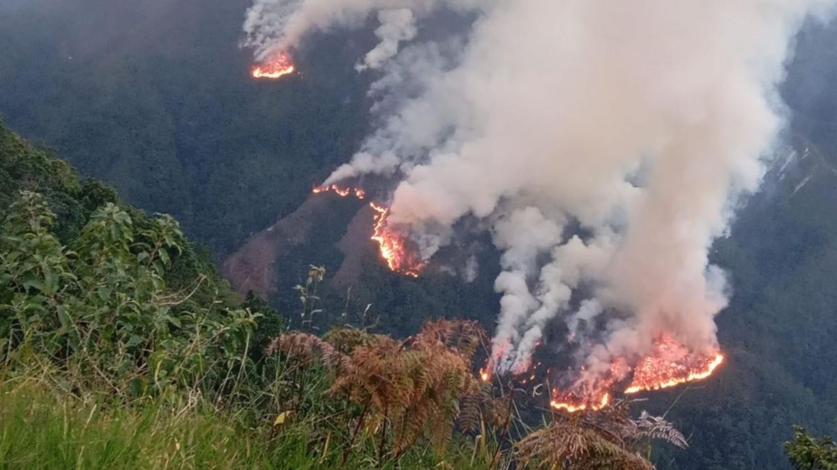 Incendio forestal en Bucarasica en Norte de Santander