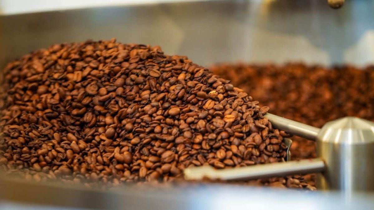Feria del café en Chaparral | Chaparral | Feria Internacional del Café