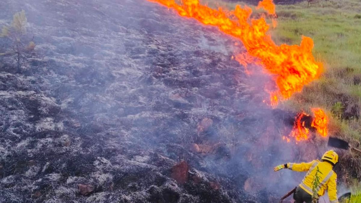 Incendios forestales en Antioquia.