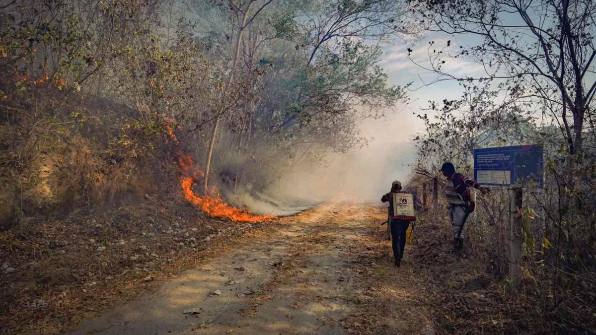 Incendio San Luis Tolima | Incendios forestales | Emergencia natural