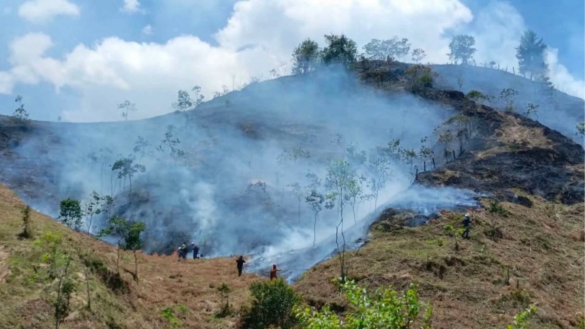 Incendios forestales Santander.