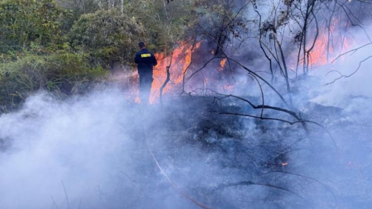 Incendio forestal zona rural de Ocaña