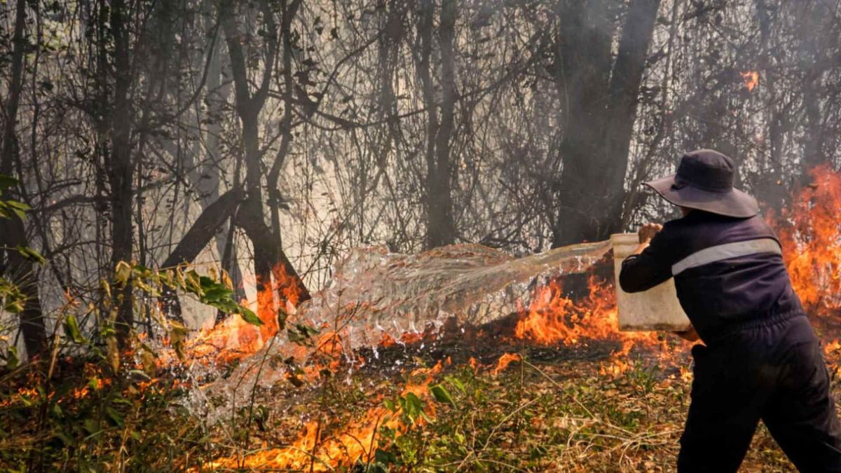 Incendio forestal en San Luis | Incendios forestales | Emergencias Tolima