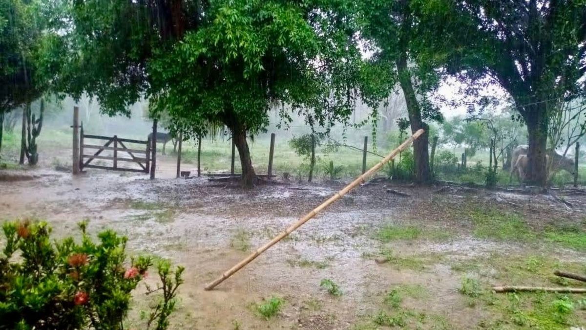 Las lluvias comenzarían hoy viernes