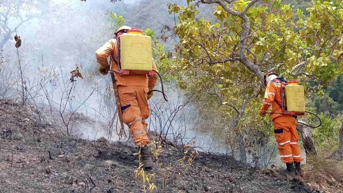 Lluvias redujo en más de 50% los incendios forestales en el Tolima