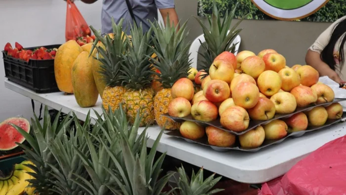 Alimentos siguen llegando al Quindío con normalidad mientras la central mayorista descarta alzas por la emergencia.