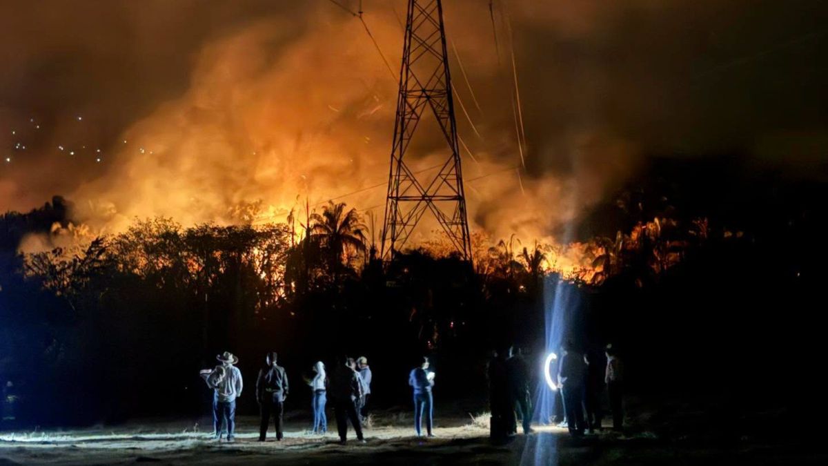 Incendio en Ortega | Emergencias forestales | Tolima | Incendios forestales