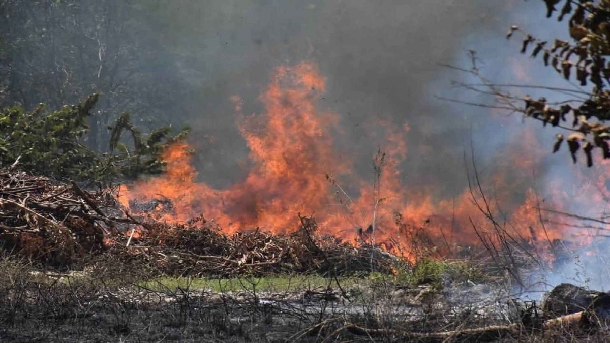 Huila con cerca de mil hectáreas afectadas por incendios forestales .